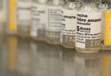 Vacinação contra febre amarela será ampliada para todo o país