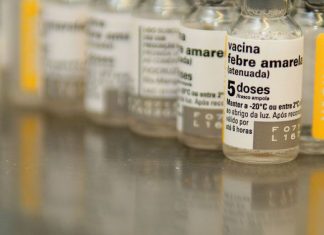Número de casos de febre amarela cresce 57%; mortes aumentam 41%