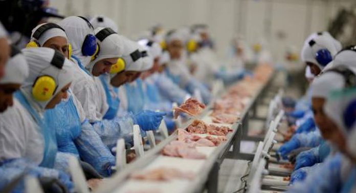 Brasil terá perda de 30% nas exportações de frango para a Europa