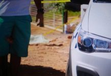 Homem mata cunhado e comete suicídio em Águas Claras