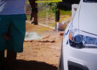 Homem mata cunhado e comete suicídio em Águas Claras