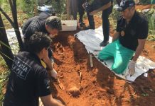 Ossada de mulher assassinada em 2016 é encontrada pela polícia do DF em área de cerrado