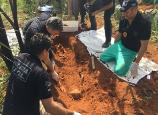 Ossada de mulher assassinada em 2016 é encontrada pela polícia do DF em área de cerrado