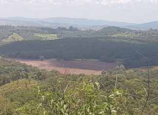 Pedido de CPI sobre rompimento de barragem é protocolado no Senado