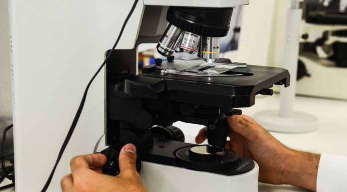 Brasileira desenvolve novo tratamento para câncer de ovário
