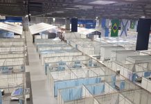 Covid-19: mortes superam 2,9 mil; recuperados são 25,3 mil