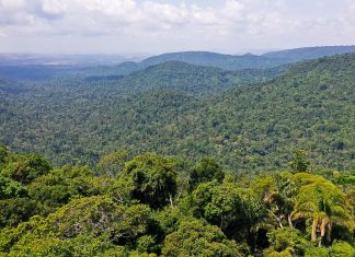 Amazônia é um dos focos da ONU para a Agenda 2030