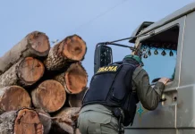 Servidores do Ibama anunciam suspensão das atividades de fiscalização ambiental em protesto