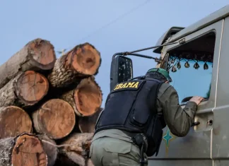 Servidores do Ibama anunciam suspensão das atividades de fiscalização ambiental em protesto