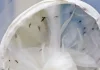 Dengue resulta em 391 mortes no Brasil