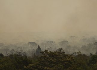 O número de queimadas registradas em setembro é 30% superior à média histórica para o mês