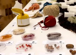 Bioeconomia amazônica: o desafio de gerar renda e conservar a floresta