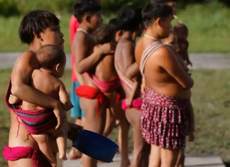 Terra Yanomami tem redução de garimpo e fome, mas desafios seguem diários